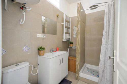 ein Bad mit einem WC, einem Waschbecken und einer Dusche in der Unterkunft Chic And Modern Apt 5 Min From The Beach in Marseille