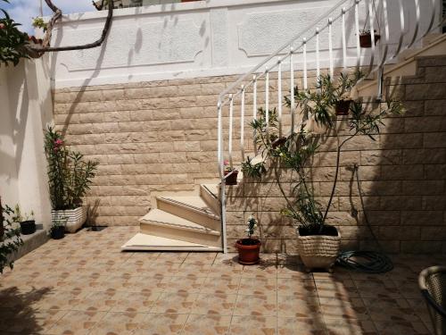 a set of stairs with potted plants on it at Studio Apartments Kuljiš in Vis