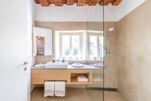 a bathroom with a sink and a glass shower at Residenz Schloss Pöggstall in Pöggstall