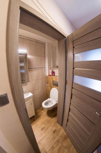 a small bathroom with a toilet and a door at Słoneczna Idylla - Nad Zalewem k Karpacza SAUNA JACUZZI in Podgórzyn