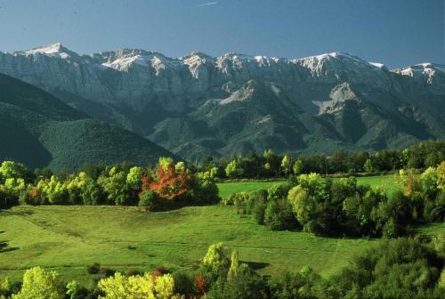 a green field with trees and mountains in the background at Cal Pedrals II in Urus