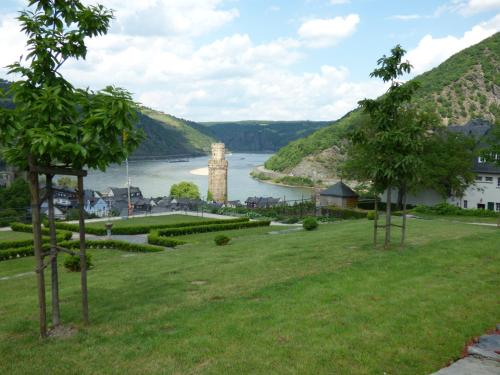 a view of the allegheny river from a park at Goldener Pfropfenzieher in Oberwesel