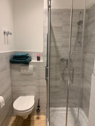 考布的住宿－Ziel，一间带卫生间和玻璃淋浴间的浴室