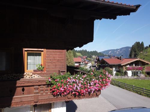 Appartement zum Schatzberg WILD021
