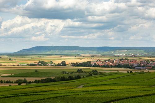 a green field with a town in the distance at Landgasthof May in Willanzheim