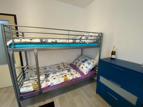 a bunk bed room with a bunk bed with a bunk bed at Slunný byt v Jizerských horách 5 postelí in Tanvald