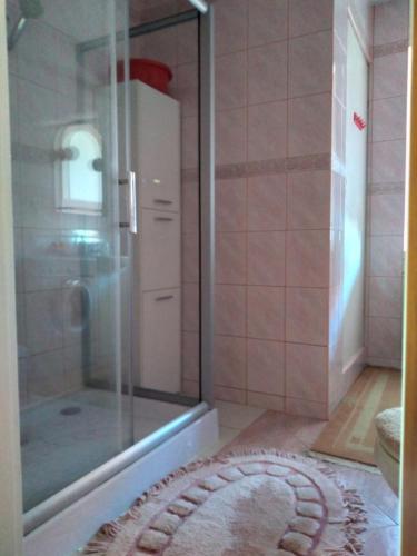 a bathroom with a shower and a rug on the floor at Przy Starej Lipie in Augustów