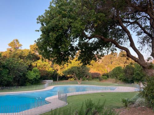 - une piscine dans une cour avec un arbre dans l'établissement Entre Playa y Bosque Papudo, à Papudo