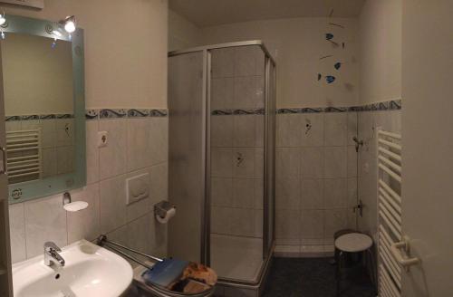 a bathroom with a shower and a sink at BUPA02208-Ferienwohnung-Passat in Burg auf Fehmarn