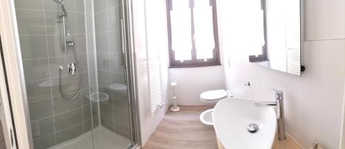 y baño con ducha, aseo y lavamanos. en Al Giardino Segreto en Monza