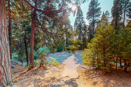Wine & Woods Retreat – Photos 3