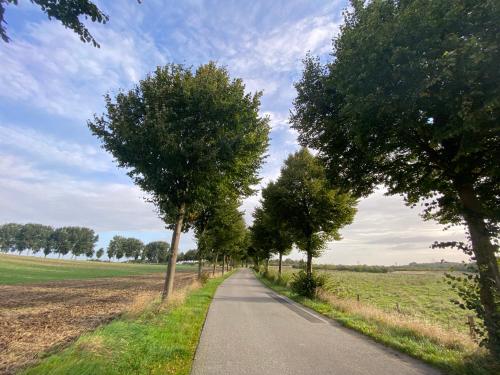 a road with trees in the middle of a field at K 357 - Low budget Hotel in Ratekau bei Lübeck in Ratekau