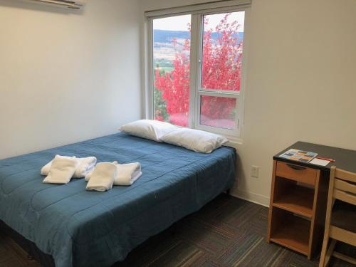 UBC Okanagan Campus في كيلونا: غرفة نوم بسرير ومخدتين ونافذة