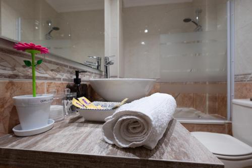 サラマンカにあるEstudio en la calle mas bonita de salamancaのバスルーム(トイレ付)、カウンターのタオル