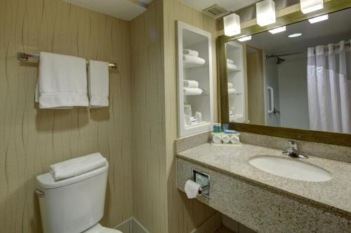 Holiday Inn Express Hotel & Suites Emporia, an IHG Hotel في إمبوريا: حمام مع مرحاض ومغسلة ومرآة
