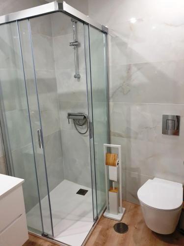 a shower stall in a bathroom with a toilet at Green Garden Houses in Chaves
