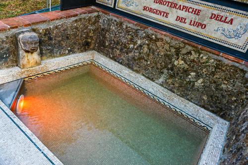 a pool of water in the middle of a building at Hotel Villa Volpi in Lucca