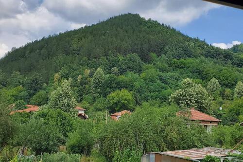 a mountain with trees and houses in front of it at Двете къщи в планината in Beli Osŭm