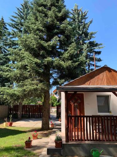 Κήπος έξω από το Mineral apartman Crystal