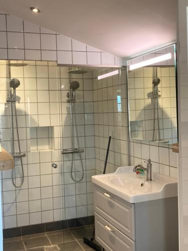 a bathroom with a shower and a sink and a mirror at Villa Wiegand - a room with a view in Holbæk