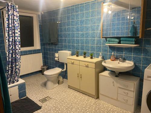 ハノーファーにあるUnterkunft Hannover LAATZENの青いタイル張りのバスルーム(トイレ、シンク付)