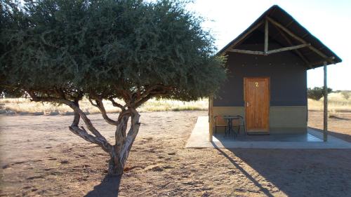 a small house with a tree in front of it at Lapa Lange Game Lodge in Mariental