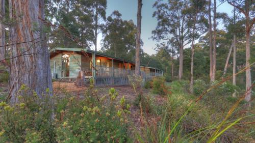 a cabin in the woods with trees at Stewarts Bay Lodge in Port Arthur