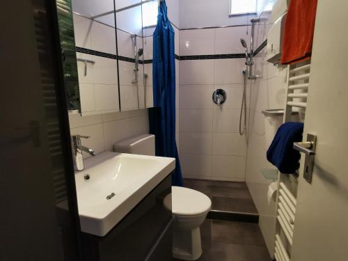 uma casa de banho com um lavatório branco e um WC. em Bed and Breakfast - Doppelzimmer em Sauerthal