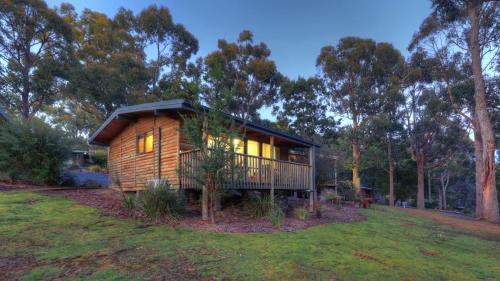 a log cabin in the middle of a field with trees at Stewarts Bay Lodge in Port Arthur