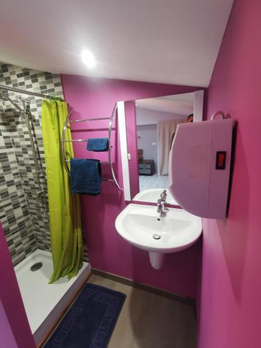 La salle de bains rose est pourvue d'un lavabo et d'une douche. dans l'établissement Logis de ReuNeuBeuL, à Les Peintures