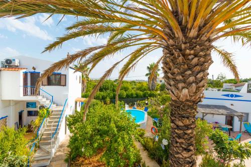a palm tree in front of a villa at Casas Típicas Algarvias in Arroteia de Baixo