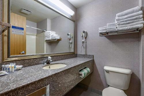 a bathroom with a sink and a toilet and a mirror at Comfort Suites Portland Airport in Portland