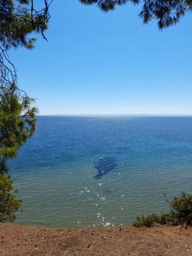 Photo de la galerie de l'établissement Cortessa Apartments, à Nikiti