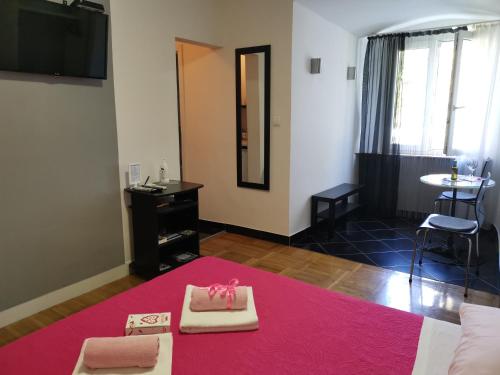 Televízia a/alebo spoločenská miestnosť v ubytovaní Palace Inn Rooms
