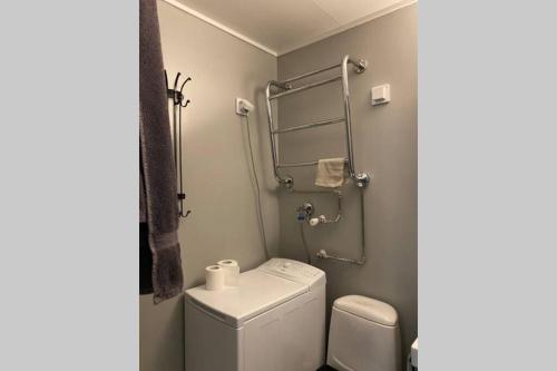 a small bathroom with a toilet and a shower at Cosy studio near by AirPort, 2min from train! in Vantaa