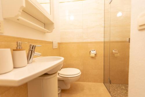 e bagno con servizi igienici, lavandino e doccia. di Apartma Zgodba a Cerklje na Gorenjskem