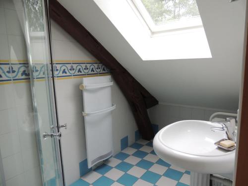 a bathroom with a toilet and a sink and a skylight at Chambre d'hôtes de Charleval in Charleval