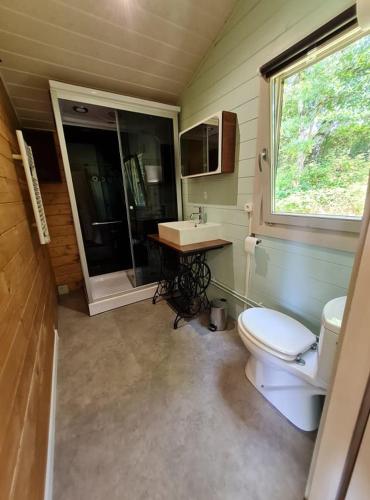 a bathroom with a toilet and a sink at Chalet Olivier in Fléré-la-Rivière