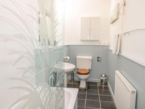 Vannituba majutusasutuses Olde Carpenters Cottage