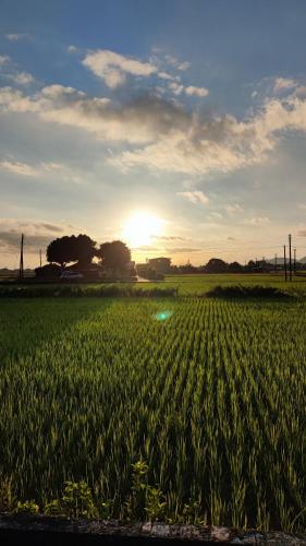 ヴィラまたは周辺から見られる日の出または日の入りの景色