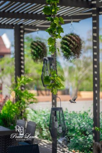 a group of hanging pots with plants in them at Hotel RH Boutique Aruba in Oranjestad
