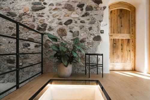 a room with a potted plant and a stone wall at St. Vigilius modern historic apartments in Nalles