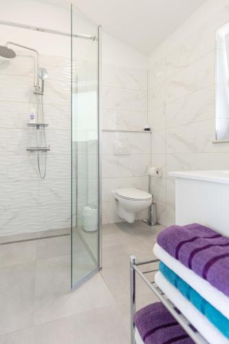 a bathroom with a glass shower and a toilet at Apartments Garden Residence Opatija in Opatija