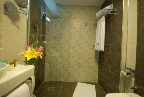 a bathroom with a shower with a toilet and a sink at Imamoglu Pasa Butik Hotel in Kayseri