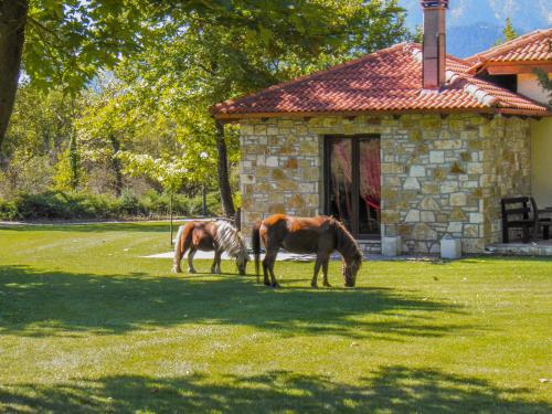 two horses grazing in the grass in front of a building at Ninemia Stay and Play in Karpenisi