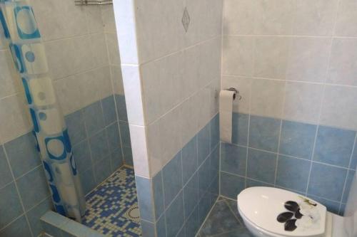 uma casa de banho com um WC e um chuveiro em HannaH - Relax dom pod orechom I4 em Trávnica