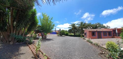 a driveway with trees and a house in the background at Casa el Porte in Tegueste