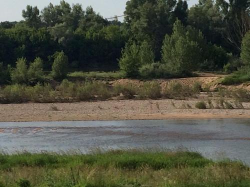 a body of water with trees in the background at Gîtes de Loire in Mosnes