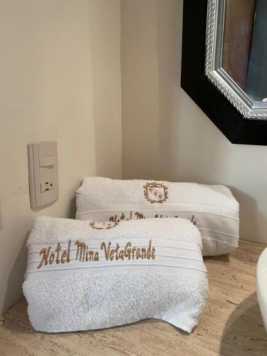 Gallery image of Hotel Mina Vetagrande in Zacatecas