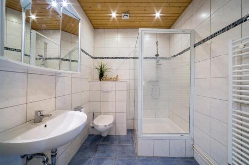 a bathroom with a sink and a toilet and a shower at "Ferienhof Seelust" Ferienwohnung Nelke in Gammendorf